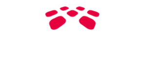 Logo-Webseite-weiss